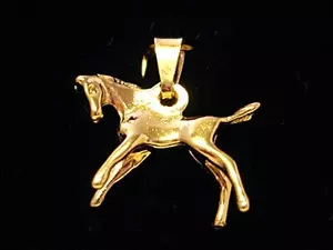Hästföl 18K 180126H