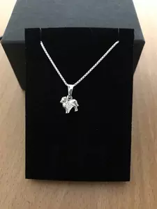 Pappilon silver