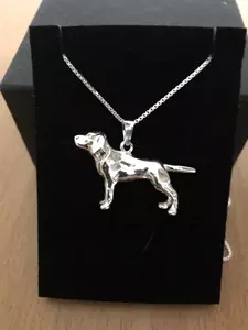 Labrador silver