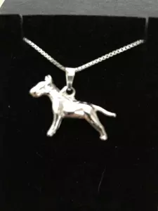 Pitbullterrier silver