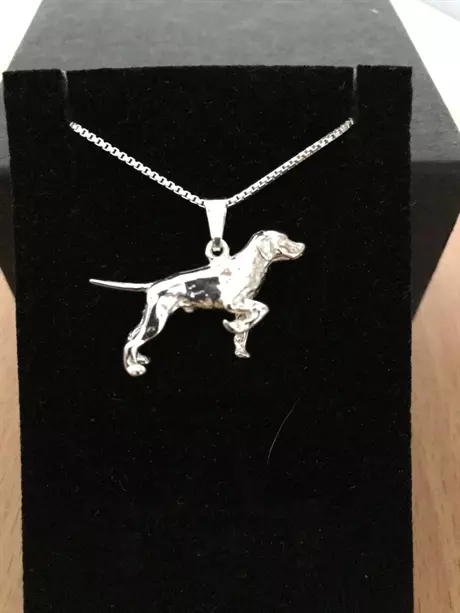 Pointer silver