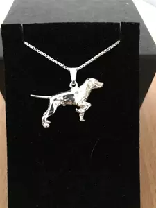 Pointer silver