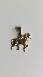 Häst 18K 180021H