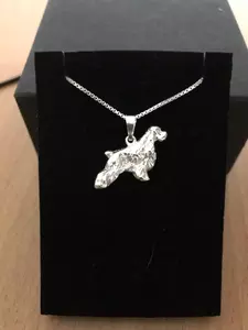Cavalier king charles spaniel silver