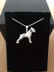 Boxer silver