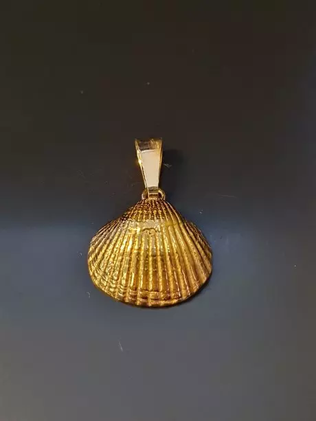 Snäcka 18K 181551H