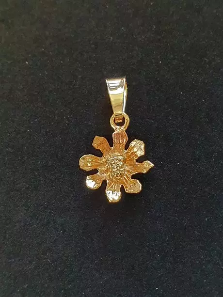 Fjällsippa hänge 18K 