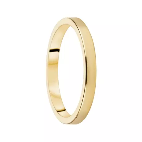 Destiny Förlovning 2,5mm 18K