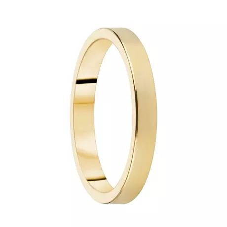 Destiny Förlovning 3,0mm 14K