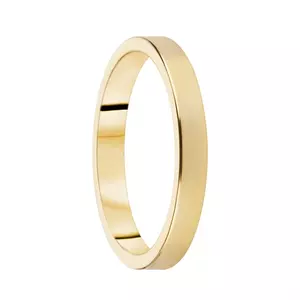 Destiny Förlovning 3,0mm 18K