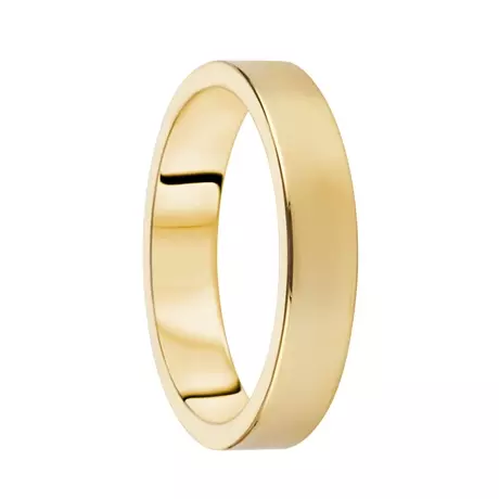 Destiny Förlovning 4,0mm 14K