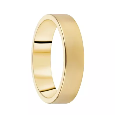 Destiny Förlovning 5,0mm 14K