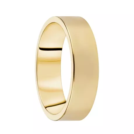 Destiny Förlovning 6,0mm 18K