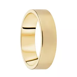 Destiny Förlovning 6,0mm 18K