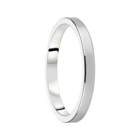 Destiny Förlovning 2,5 mm Silver