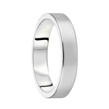 Destiny Förlovning 4,0 mm 14Kvg