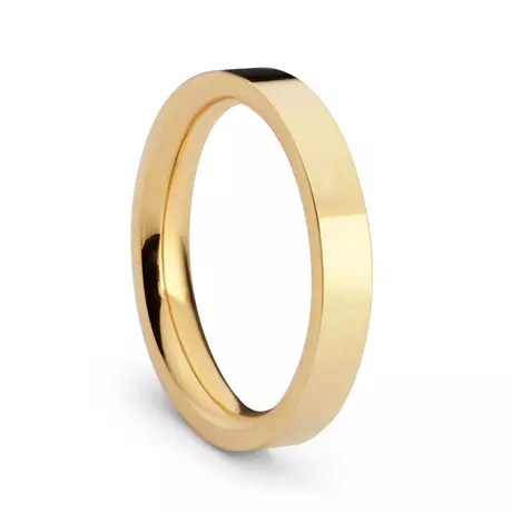 Eternity Förlovning 4 mm 14K