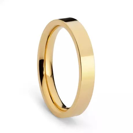 Eternity Förlovning 5 mm 18K