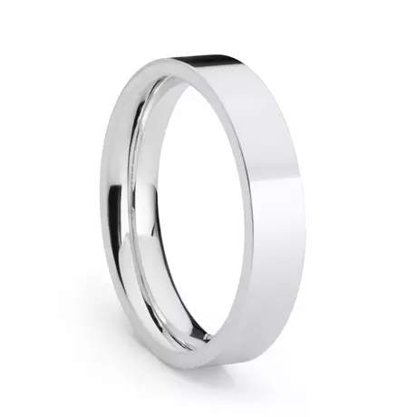 Eternity Förlovning 5 mm Silver