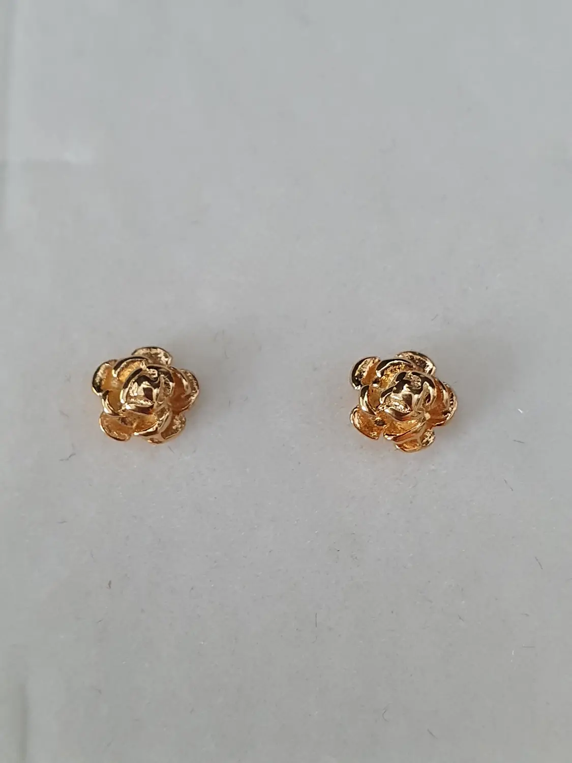 Ros fasta 18K 180624Ö