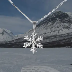 Snöstjärna halssmycke.