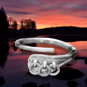 Jokkmokk ring