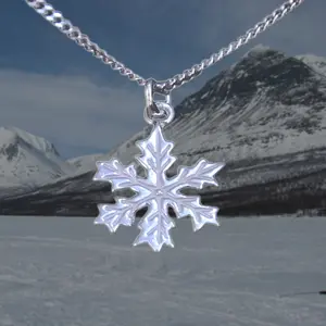 Snöstjärna halssmycke.