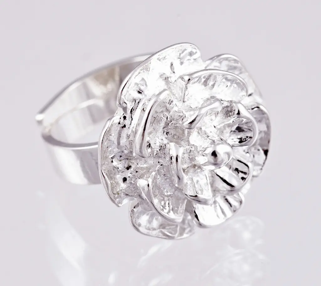 Silverring 9250020R