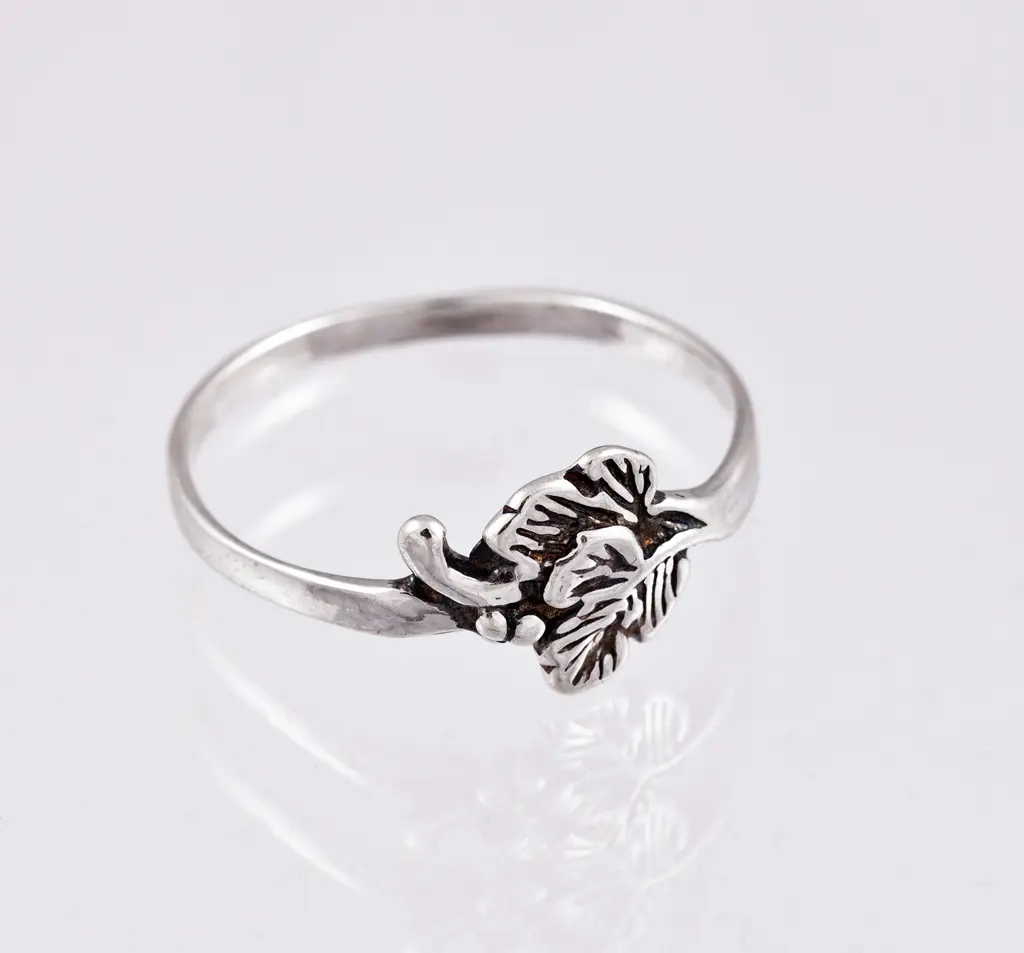 Silverring 9250198R
