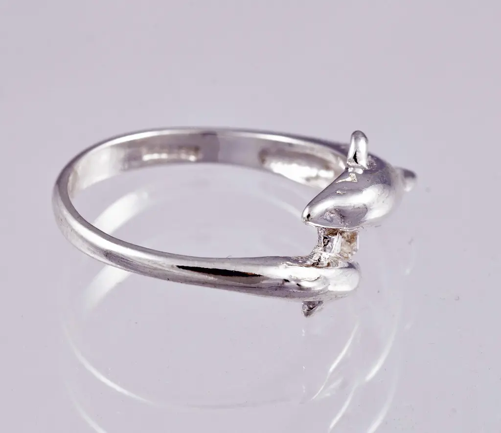 Silverring 9250265R