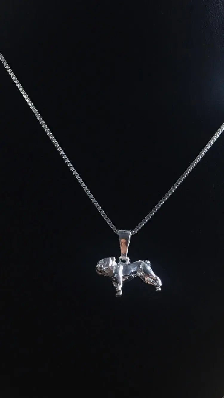 Bulldog silver 9250283H