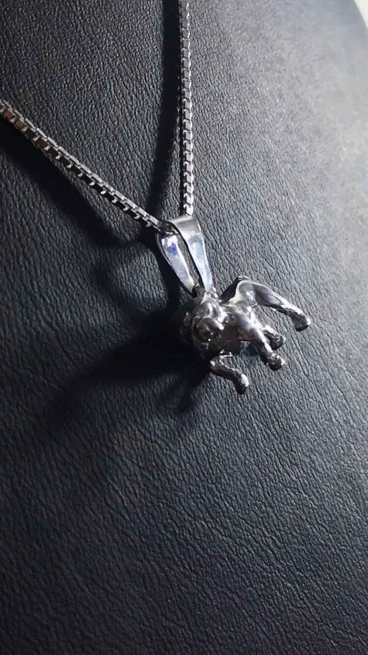 Bulldog silver 9250283H