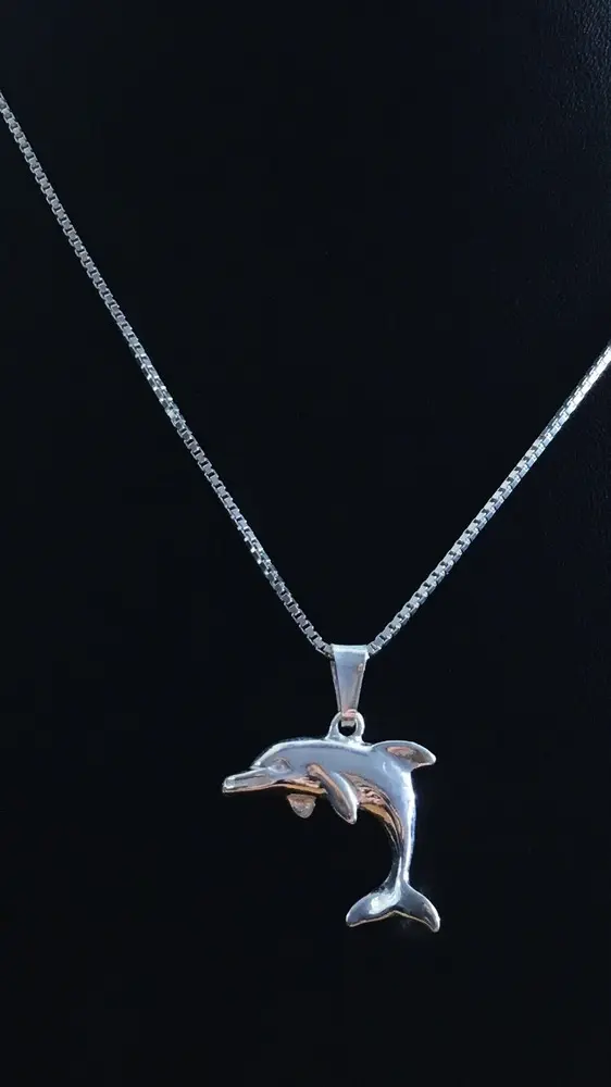 Delfin silver 9250386H
