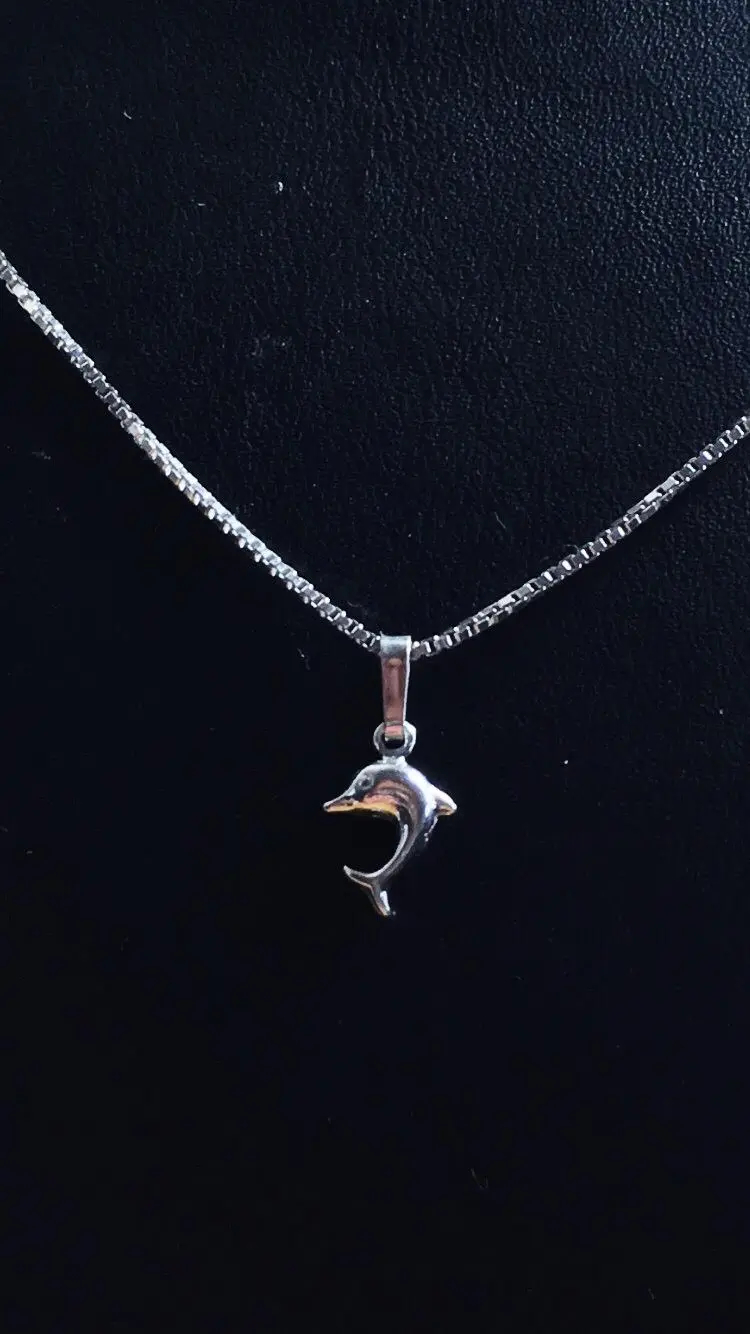Delfin silver 9251248H
