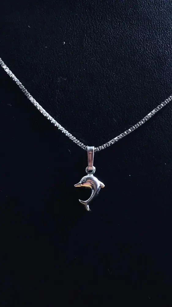 Delfin silver 9251248H