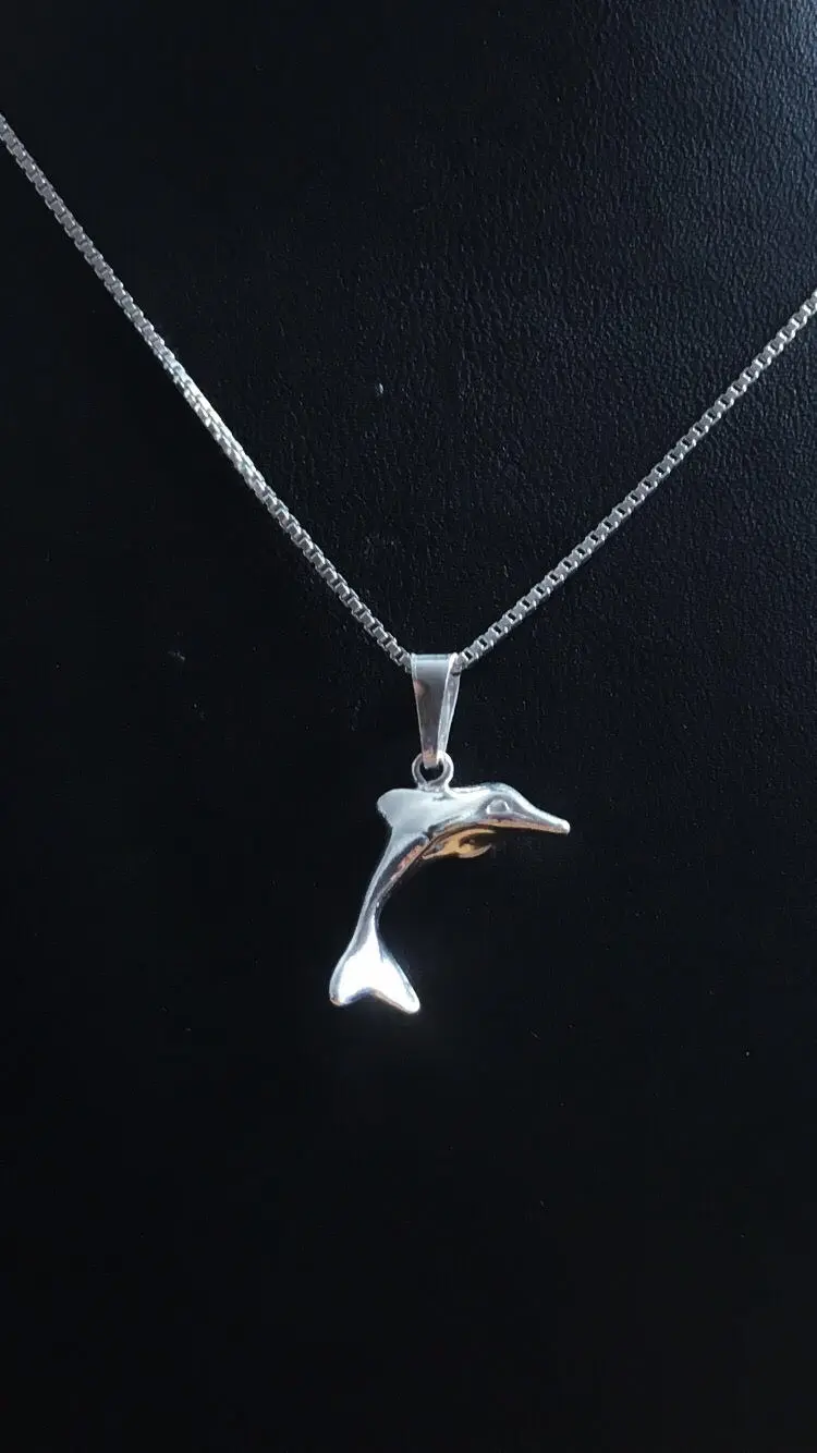 Delfin silver 9251300H