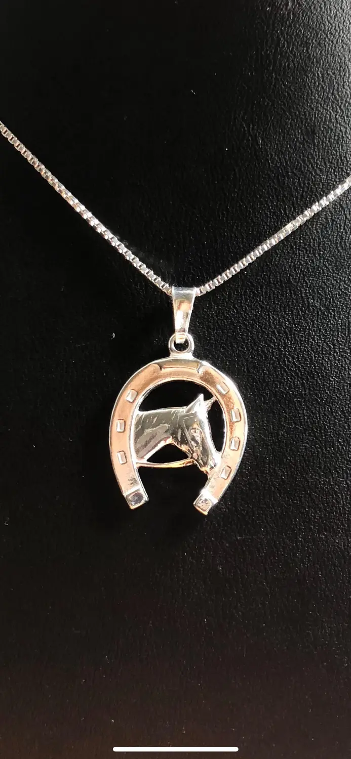 Hästsko och häst silver 9251689H
