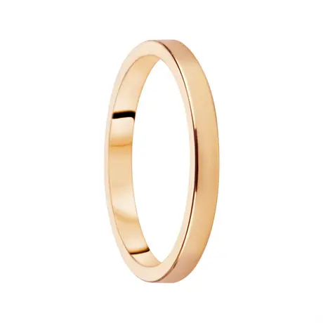 Destiny Förlovning 2,5mm 14K