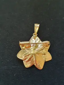 Skogsstjärna hänge/brosch stor 18K 