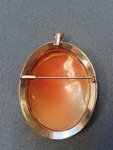 Camé hänge/brosch 9,6gr 18K