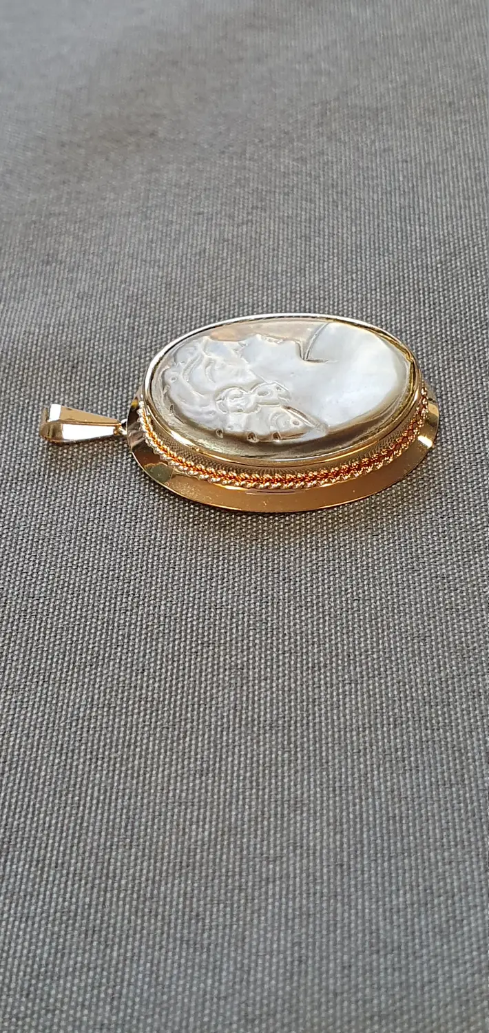 Camésmycke hänge/brosch 4,2gr 18K