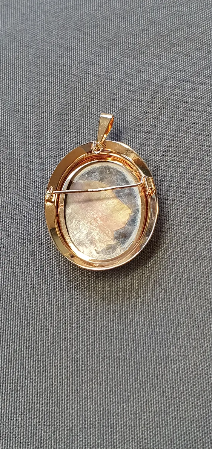 Camésmycke hänge/brosch 4,2gr 18K