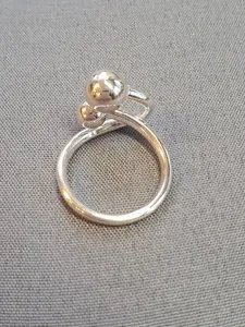 Silverring 9250488R