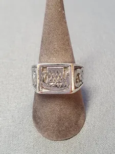 Klackring oxiderad 9250748R