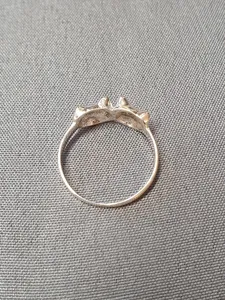 Silverring 9250302R