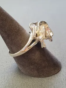 Silverring 9250660R