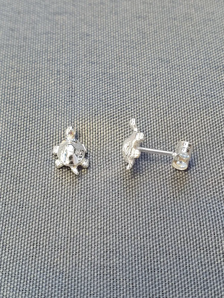 Silver örhängen 9250011E