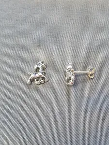Silver örhängen 9250891E