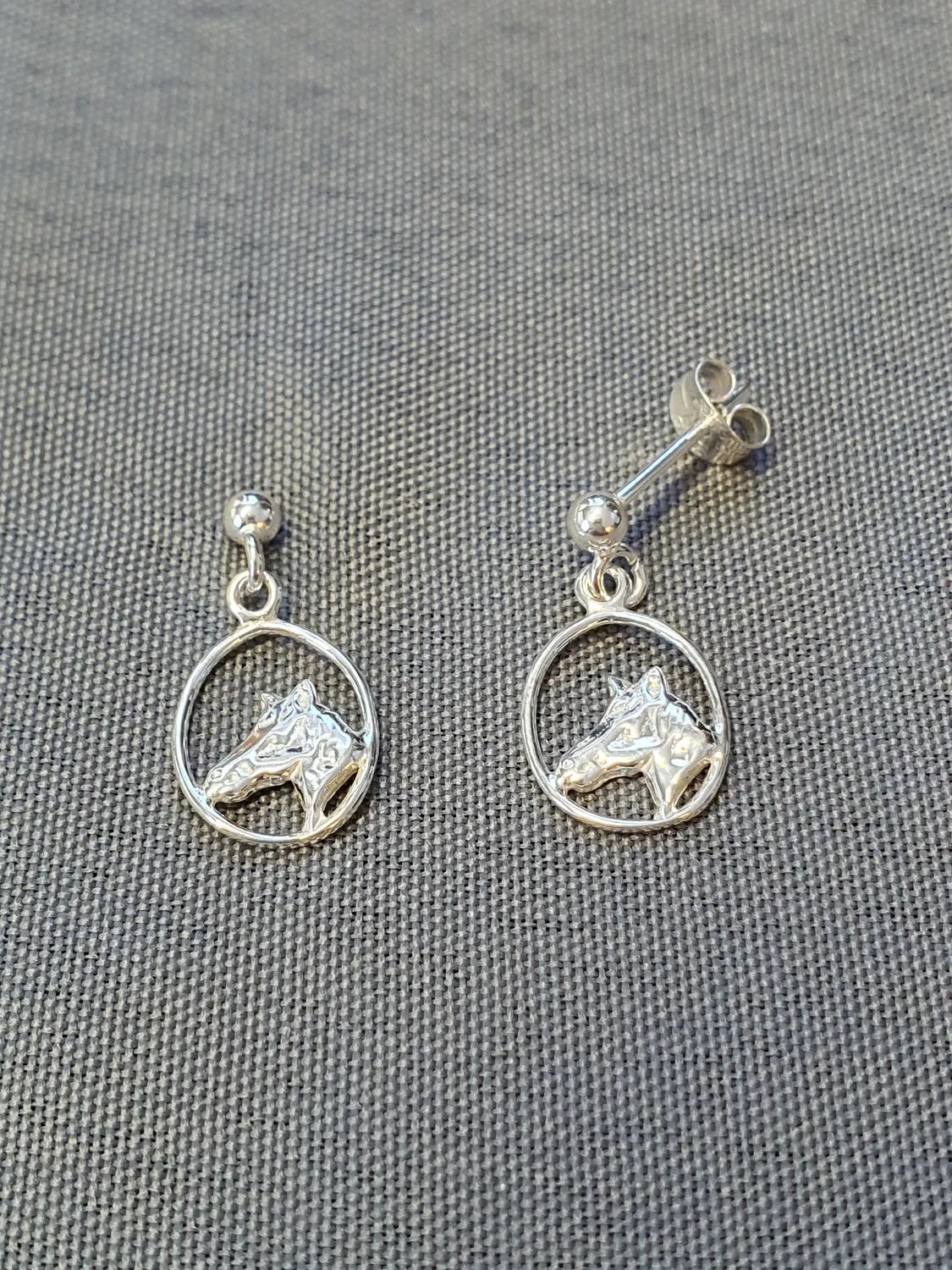 Silver örhängen 9250024E
