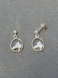 Silver örhängen 9250024E